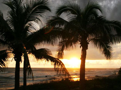Hotel Casa Viva Troncones Exteriör bild